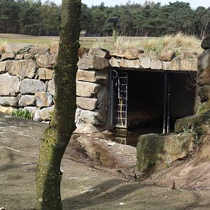 Great white pelican shelter, 2024-04-06