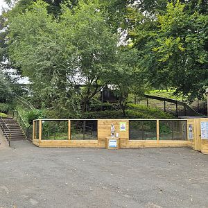 View towards otter enclosure