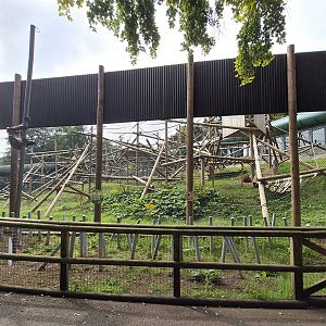 Bornean orangutan enclosure.