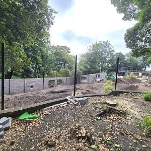 New exhibit under construction.