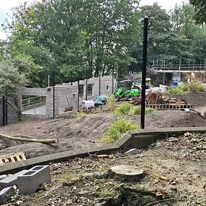 New exhibit under construction.