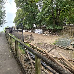 New exhibit under construction.