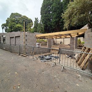 New exhibit under construction.