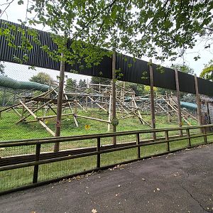 Bornean orangutan enclosure.
