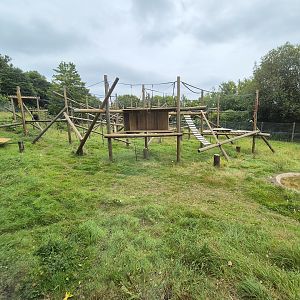 Chimpanzee enclosure