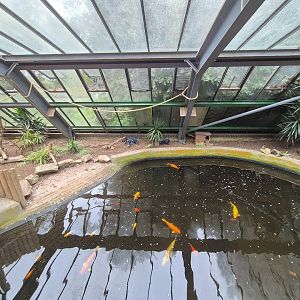 Main pool in walkthrough aviary