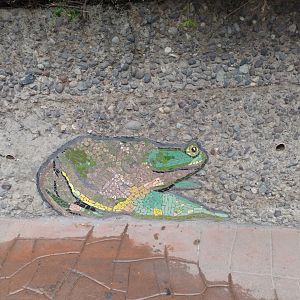 Mosaic - Santiago Zoo (Zoologico Nacional)
