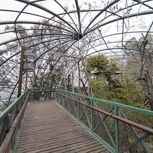 Walkthrough aviary I - Santiago zoo (Zoologico nacional)