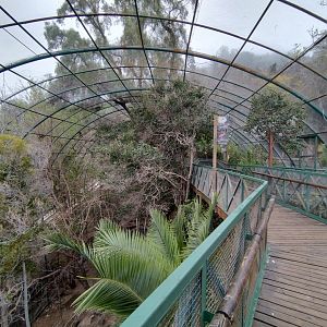 Walkthrough aviary II - Santiago zoo (Zoologico nacional)