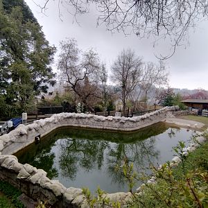 Former hippo exhibit (empty) - Santiago zoo (Zoologico nacional)