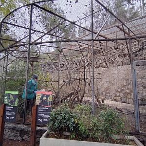 Slender-billed parakeet and burrowing parrot aviaries - Santiago zoo (Zoologico nacional)