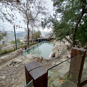 Humboldt penguin exhibit - Santiago zoo (Zoologico nacional)