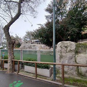 Humboldt penguin exhibit - Santiago zoo (Zoologico nacional)