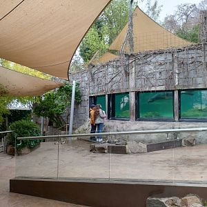 South american sea lion exhibit - Santiago zoo (Zoologico nacional)