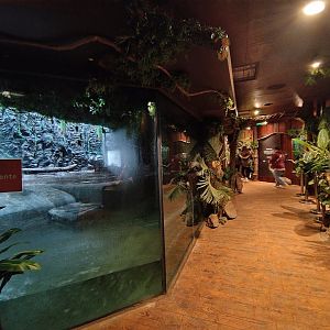 Reptile house overview - Santiago zoo (Zoologico nacional)