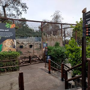 African lion exhibit - Santiago zoo (Zoologico nacional)