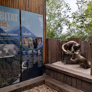 Red panda complex (empty) - Santiago zoo (Zoologico nacional)