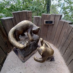 Red panda complex (empty) - Santiago zoo (Zoologico nacional)