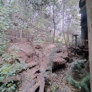 Red panda complex (empty) - Santiago zoo (Zoologico nacional)