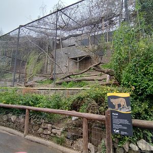 Puma exhibit - Santiago zoo (Zoologico nacional)