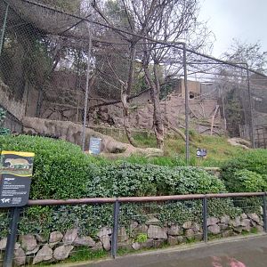 Jaguar exhibit - Santiago zoo (Zoologico nacional)