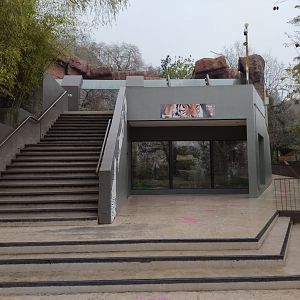 Tiger complex - Santiago zoo (Zoologico nacional)