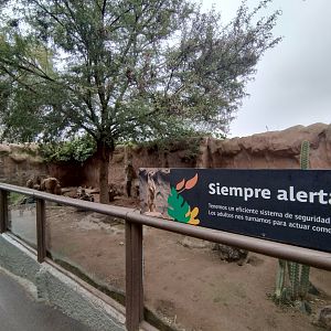 Meerkat exhibit - Santiago zoo (Zoologico nacional)