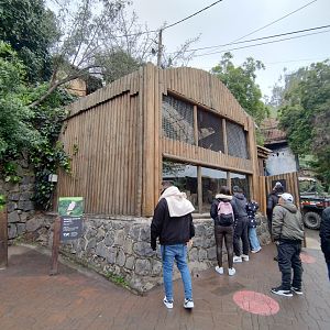 Cockatoo exhibit - Santiago zoo (Zoologico nacional)