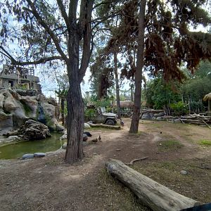 Tapir exhibit - Buin zoo