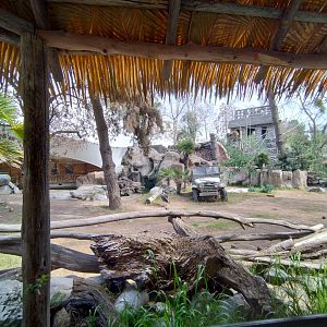 Tapir exhibit - Buin zoo