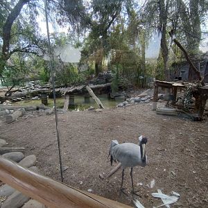 Former jaguar exhibit - Buin zoo