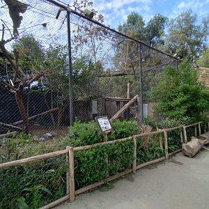Caracal exhibit - Buin zoo