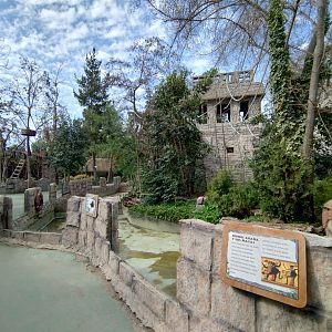 Black spider monkey island - Buin zoo