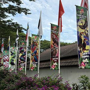 Zoo Entrance Banners