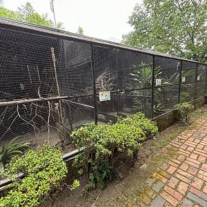 Assorted Aviaries