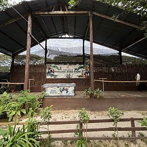 Bird Show Amphitheater
