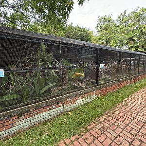 Assorted Aviaries