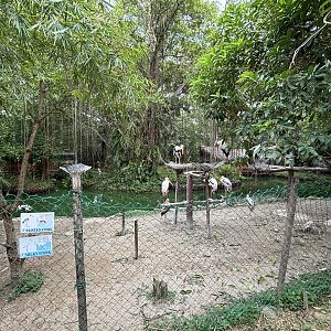 Painted Stork + Milky Stork Exhibit