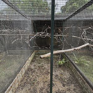 Duyvenbode’s Lory Aviary