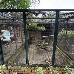 Red-billed Hornbill + Malay Peacock Pheasant Aviary