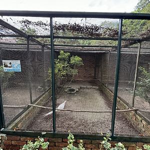 White Pheasant Aviary
