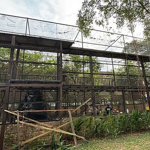 Walk-through Aviary #1