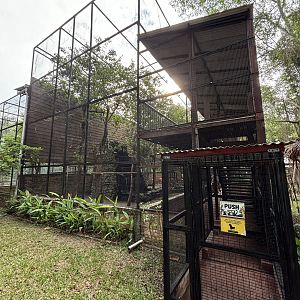 Walk-through Aviary #1