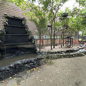 Walk-through Aviary #1