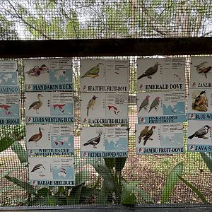 Walk-through Aviary #1 - 1 of 2 signs