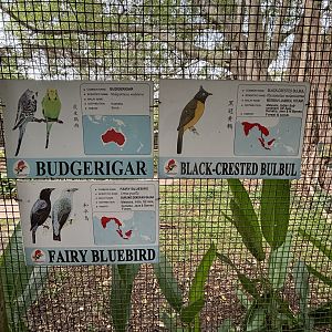 Walk-through Aviary #1 - 2 of 2 signs