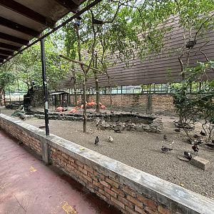 Walk-through Aviary #1 - lower level