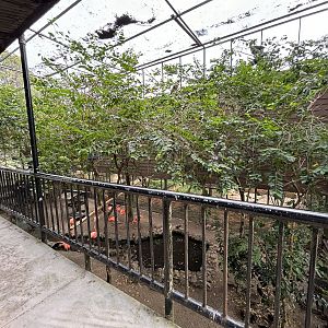 Walk-through Aviary #2 - upper level