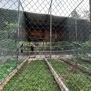 Ground Hornbill Aviary