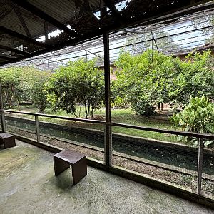 Walk-through Aviary #2
